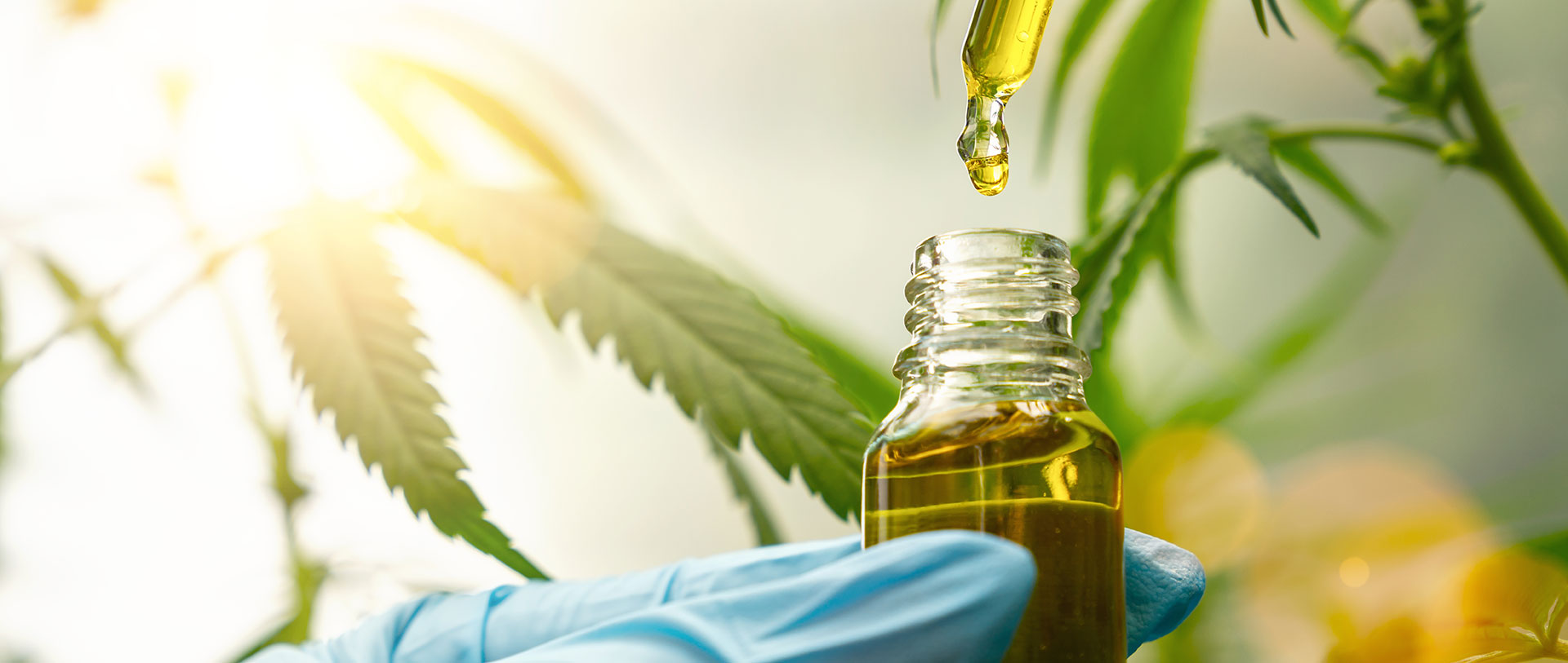 cbd para ansiedad dolor muscular y dolor menstrual